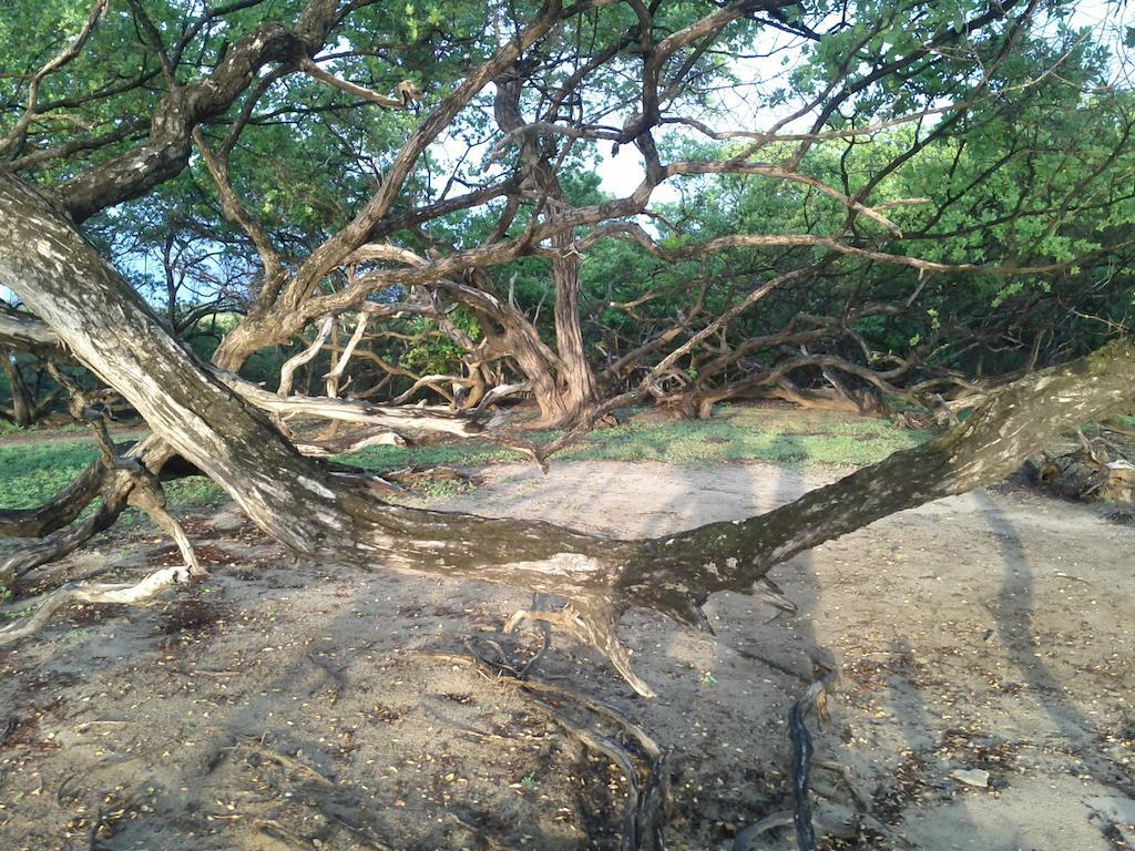 Cabinas Las Olas Плайя-Авельяна Экстерьер фото