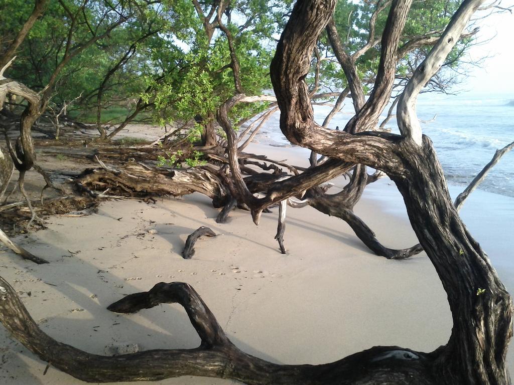 Cabinas Las Olas Плайя-Авельяна Экстерьер фото